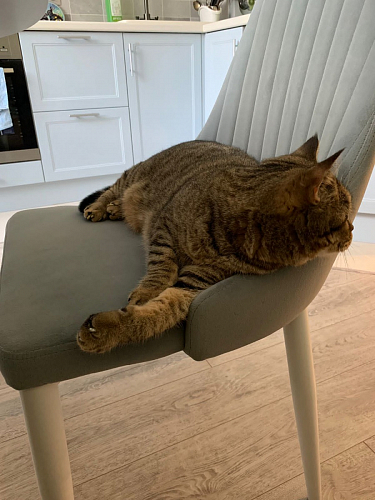 Стул на металлокаркасе Kora beige / black фото покупателя 264