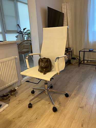 Компьютерное кресло Reus белая сетка / хром фото покупателя 34