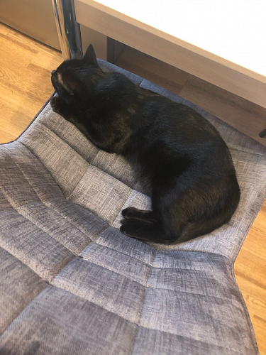 Стул Hagen темно-серый фото покупателя 1