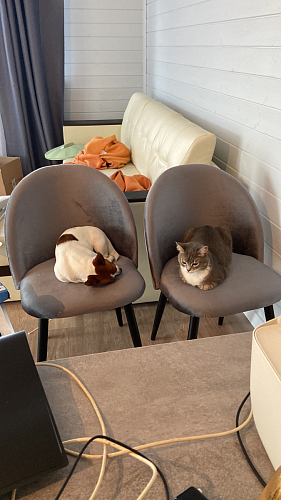 Деревянный стол Лота Лофт 120x75 дуб крафт табачный / черный матовый фото покупателя 242