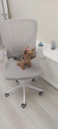 Компьютерное кресло Konfi gray / blue / white фото покупателя 141