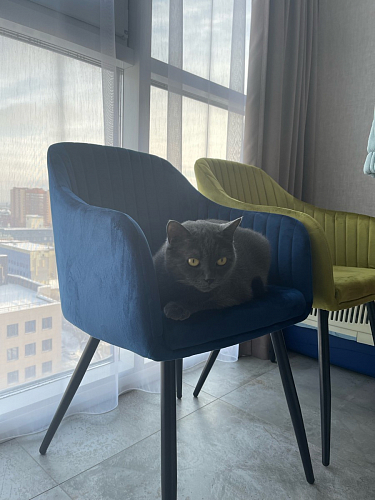 Стул на металлокаркасе Slam dark beige фото покупателя 70