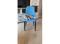 Стул на металлокаркасе Kora green / black фото покупателя 114