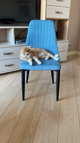 Стул на металлокаркасе Kora green / black фото покупателя 114