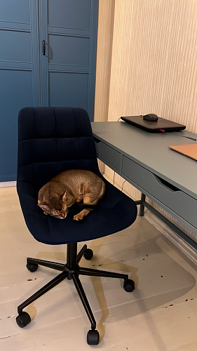 Компьютерное кресло Честер темно-серый / золото  - Уцененный экземпляр фото покупателя 16