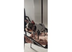 Стул One PC-015 белый фото покупателя 53