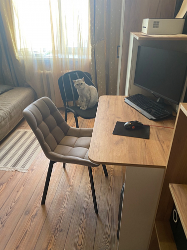 Стул на металлокаркасе Челси К бирюзовый / черный фото покупателя 173