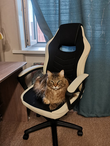 Компьютерное кресло Gamer коричневое фото покупателя 41