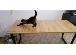 Стол Лота Лофт 120 25 мм сабия / черный матовый фото покупателя 324