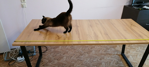 Деревянный стол Лота Лофт 140х80 дуб крафт табачный / черный матовый фото покупателя 324