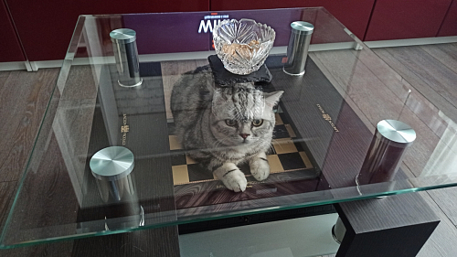 Журнальный столик ST-052 white фото покупателя 70