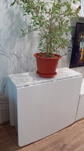 Стол-книжка СтК7 дуб сонома фото покупателя 43