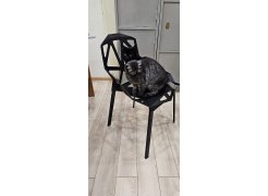 Стул One PC-015 черный фото покупателя 34