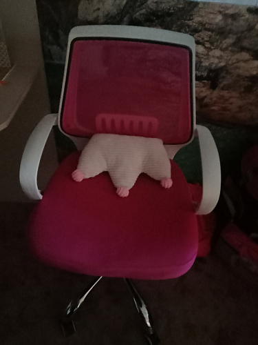 Компьютерное кресло Ergoplus оранжевое фото покупателя 1