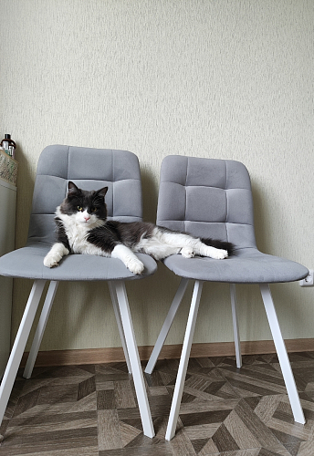 Стул на металлокаркасе Чилли синяя ткань / белый фото покупателя 447