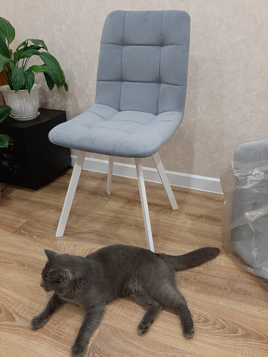 Стул на металлокаркасе Чилли К светло-серый велюр / черный каркас фото покупателя 755