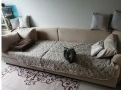 Диван Милтон велюр черный фото покупателя 1