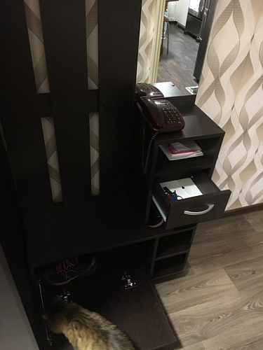 Прихожая Мила венге фото покупателя 84