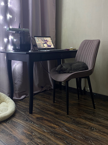 Стул Seda серый фото покупателя 12