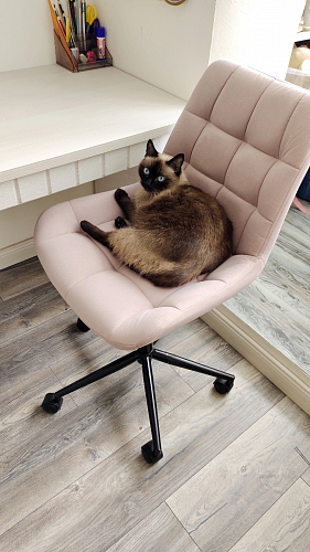 Компьютерное кресло Честер экокожа бежевая / белый фото покупателя 5