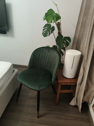 Стул на металлокаркасе Gabi green / black / silver фото покупателя 85