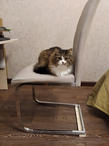 Стул Oddy черный фото покупателя 4