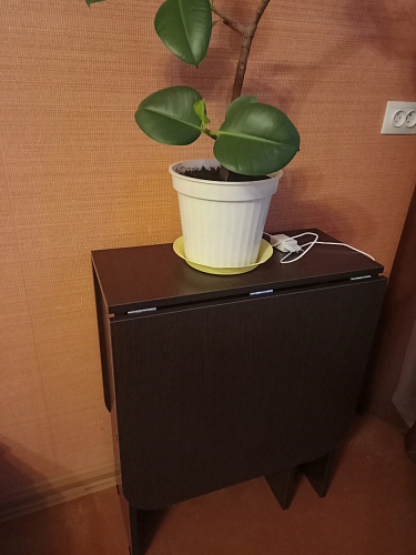 Стол-книжка Мечта венге  - Уцененный экземпляр фото покупателя 236