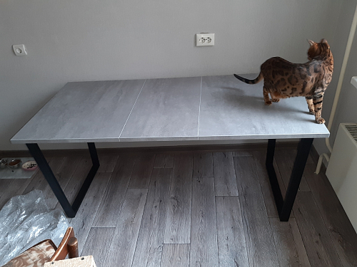 Деревянный стол Лота Лофт 120х75 белый матовый / дуб крафт золотой фото покупателя 165