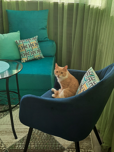 Стул на металлокаркасе Slam dark blue фото покупателя 7