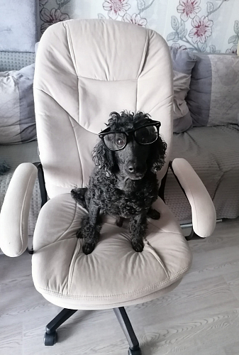 Компьютерное кресло Comfort Lux/Комфорт Люкс черный фото покупателя 67