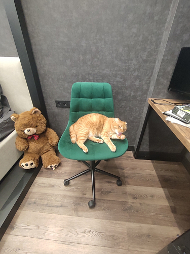 Компьютерное кресло Честер латте / золото фото покупателя 11