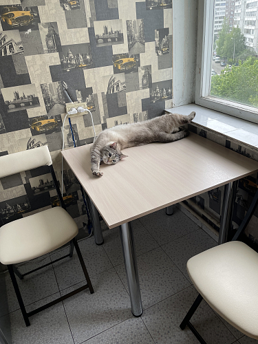 Деревянный стол 2 дуб молочный фото покупателя 1