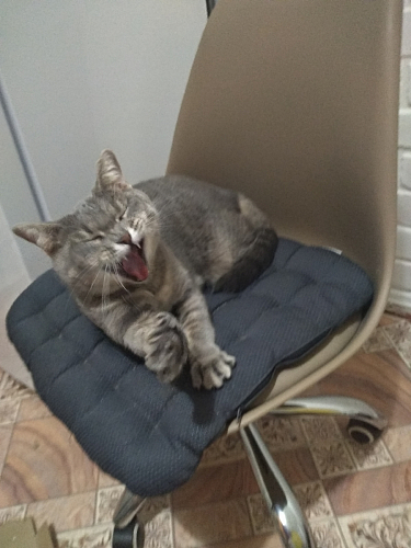 Компьютерное кресло Kolin с подушкой clear / white фото покупателя 229