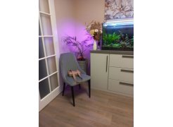 Стул на металлокаркасе Kora gray / black фото покупателя 298