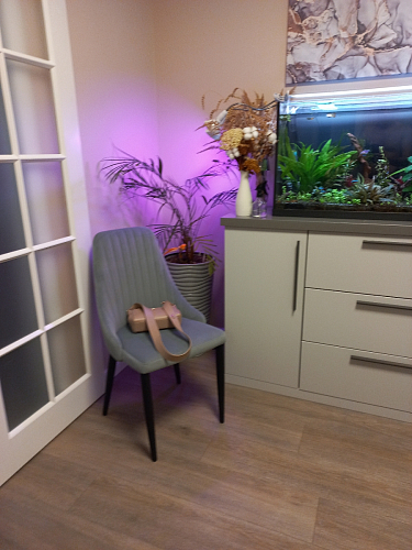 Стул на металлокаркасе Kora gray / black фото покупателя 298