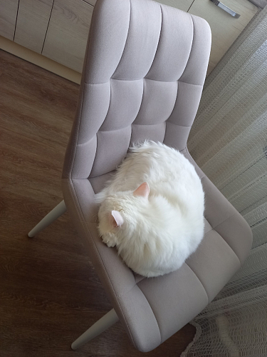 Стул на металлокаркасе Челси бежевый / черный фото покупателя 166