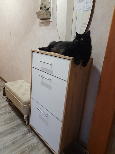 Обувница ТП-2 дуб делано фото покупателя 4