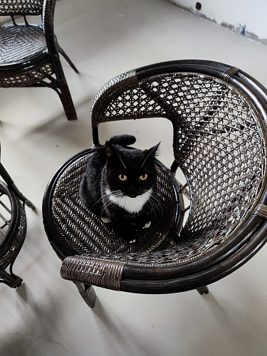 Комплект для отдыха Pelangi/Пеланги грецкий орех фото покупателя 1