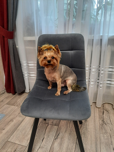 Стул на металлокаркасе Чилли зеленый / черный фото покупателя 731