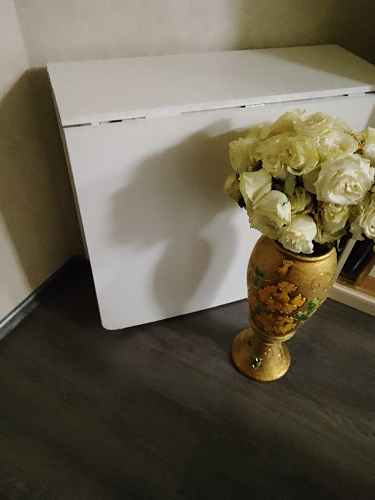 Стол обеденный раздвижной СтК7 дуб молочный фото покупателя 87