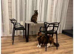 Стол Лота Лофт 140 25 мм юта / белый матовый фото покупателя 588