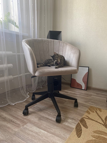 Компьютерное кресло Тибо confetti chocolate / белый фото покупателя 172