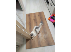 Стол Тринити Лофт 120 32 мм бетон / черный матовый фото покупателя 551