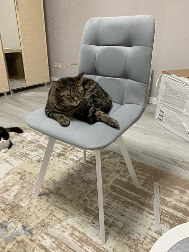 Стул на металлокаркасе Чилли бирюзовый / черный фото покупателя 928