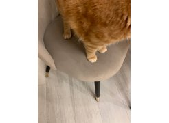 Стул на металлокаркасе Gabi blue / black фото покупателя 670