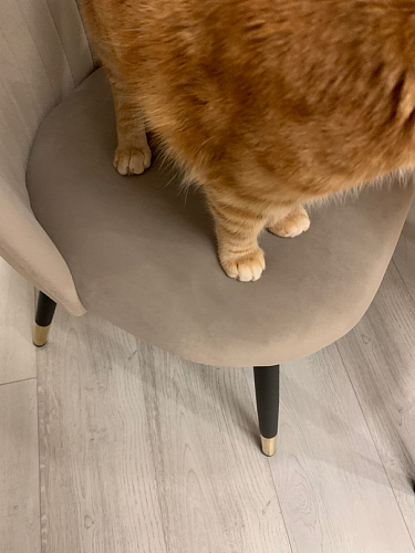 Стул на металлокаркасе Gabi wine red / black фото покупателя 671