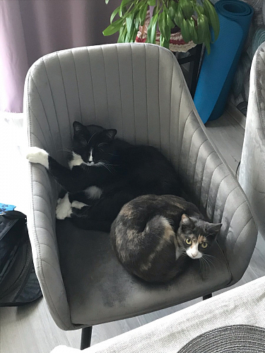 Стул на металлокаркасе Slam синий фото покупателя 46