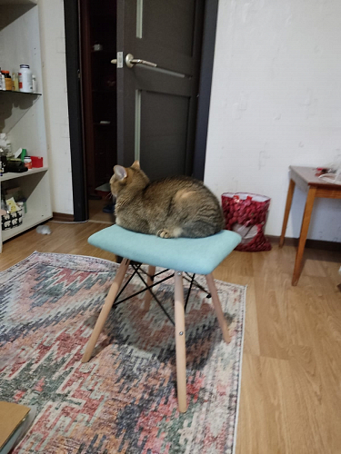 Табурет Ben Multicolor фото покупателя 42