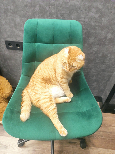 Компьютерное кресло Честер зеленый / черный фото покупателя 10